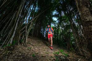 BIB: 
                            <button type="button" onclick="openModal(19395524)" class="btn btn-primary btn-sm float-right btn-popup" data-toggle="modal" data-target=".modal-high-quality">
                        <i class="fas fa-shopping-cart"></i> Add to Cart
                    </button>
                                            <button type="button" onclick="isThisMe(19395524, true)" class="btn btn-success btn-sm float-right btn-popup btn-isme hidden" data-toggle="tooltip" data-placement="bottom" title="นี่คือรูปของคุณใช่ไหม คลิกที่นี่เพื่อเอาเข้าอัลบั้ม">
                        <i class="fas fa-plus"></i> Add to album
                    </button>
                    <button type="button" onclick="isThisMe(19395524, false)" class="btn btn-warning btn-sm float-right btn-popup btn-isnotme hidden">
                        <i class="fas fa-ban"></i> Remove from album
                    </button>